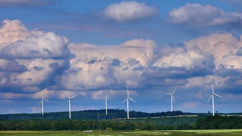 Zielona energia a polityka energetyczna państwa – jak wdrażać zrównoważoną energię w Polsce?